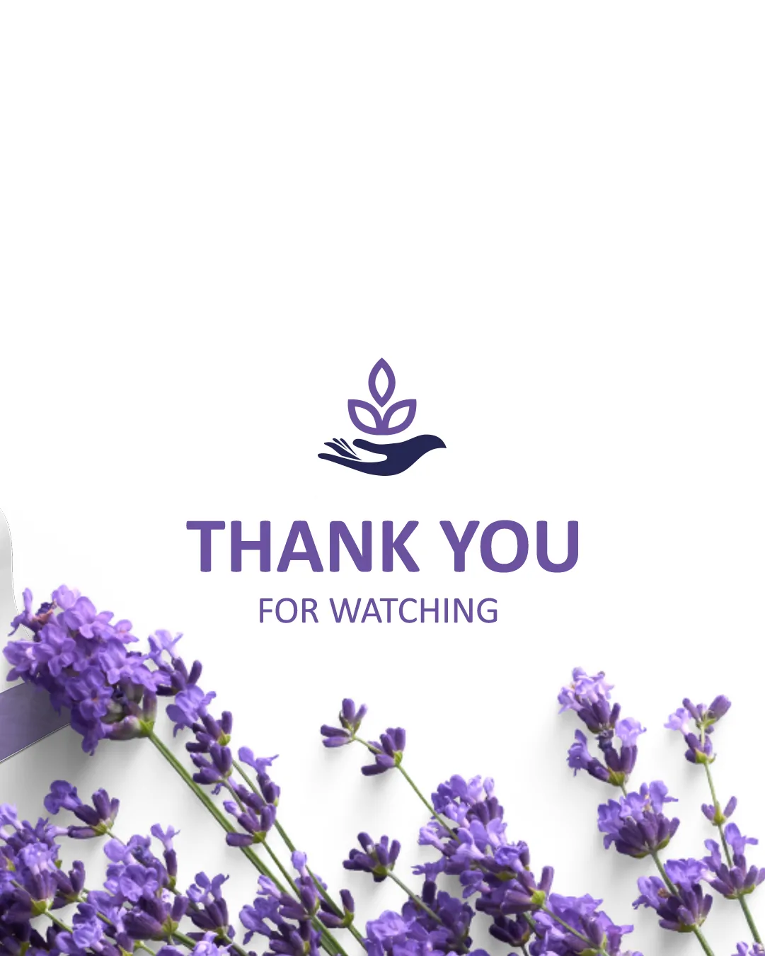 Lavender-9 Lavender-9