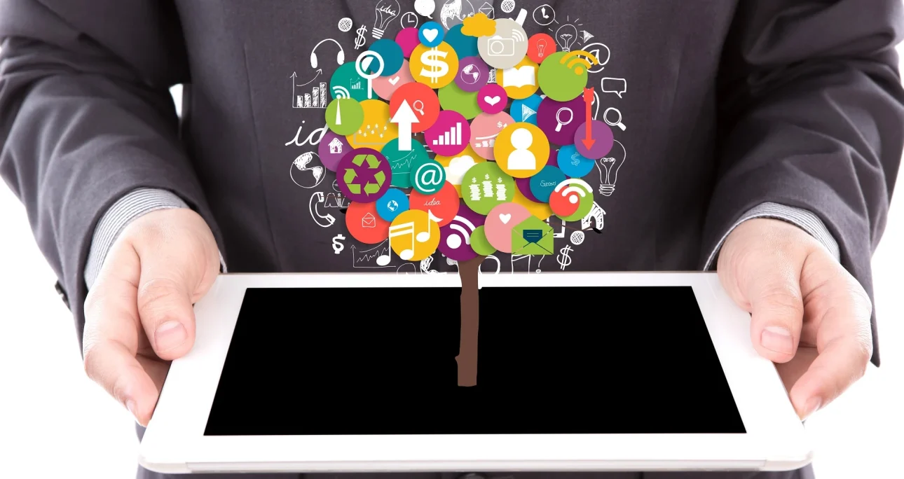 Link Building and Digital PR Services in Egypt – Build Authority, Trust, and Sustainable Growth with Pro Branding